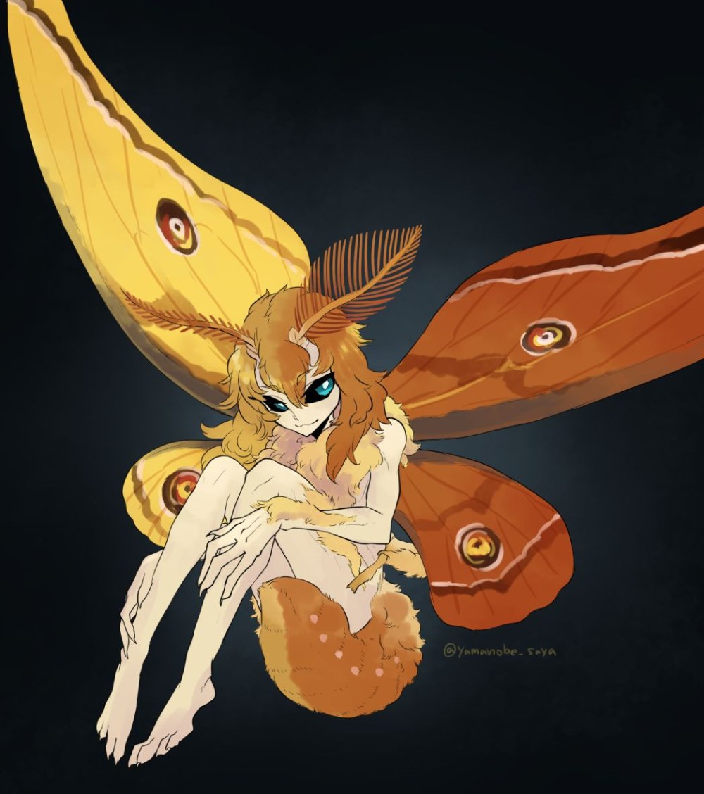 Monster girl аниме Moth Лили