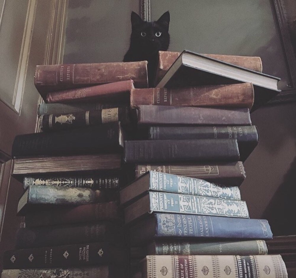 Книги Эстетика
