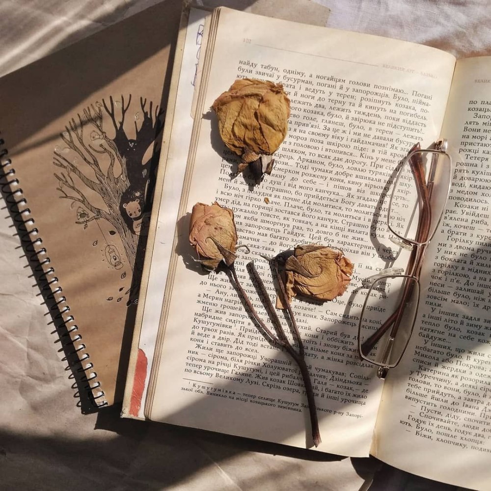 Книги Эстетика