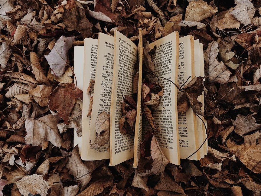 Книги Эстетика