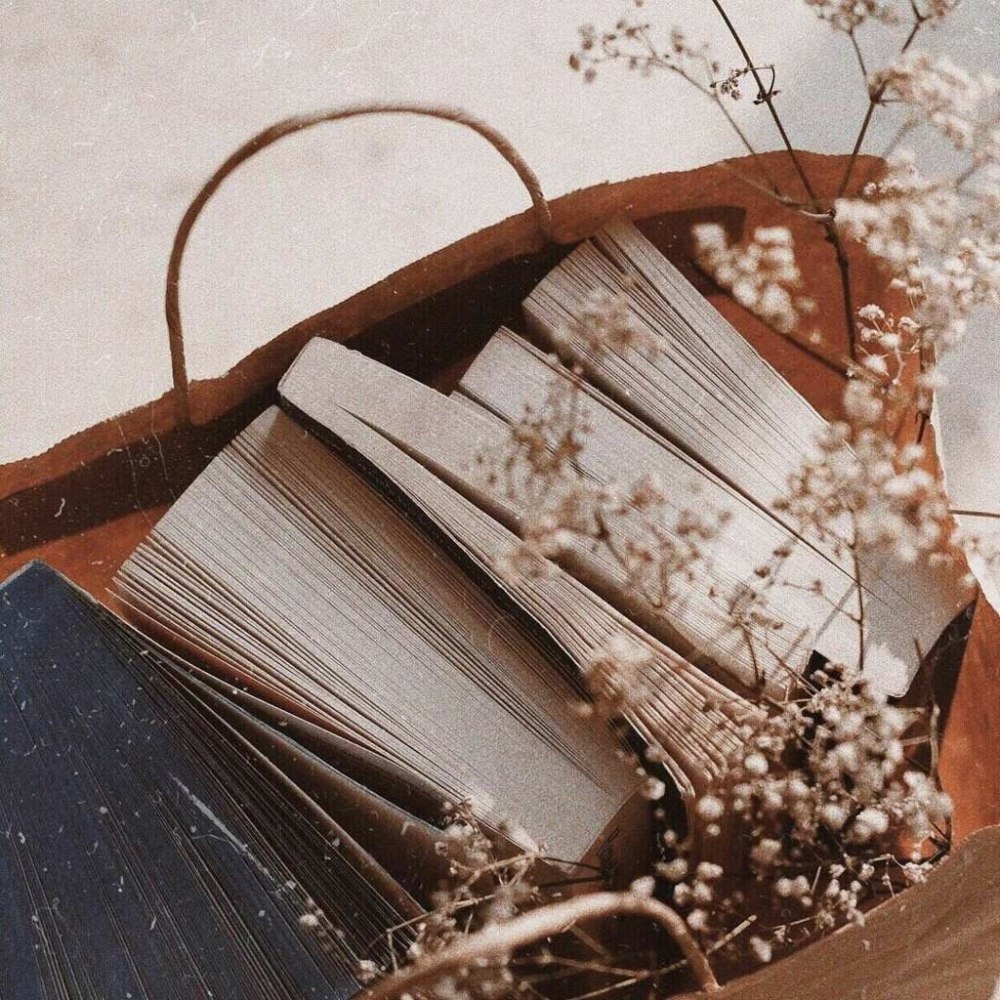 Книги Эстетика