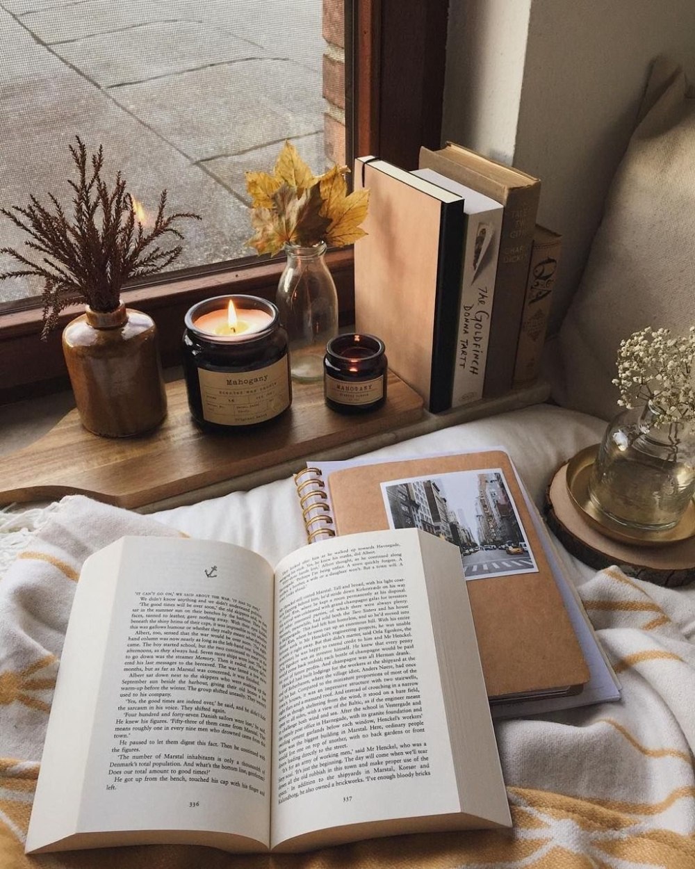 Aesthetic книжные полки