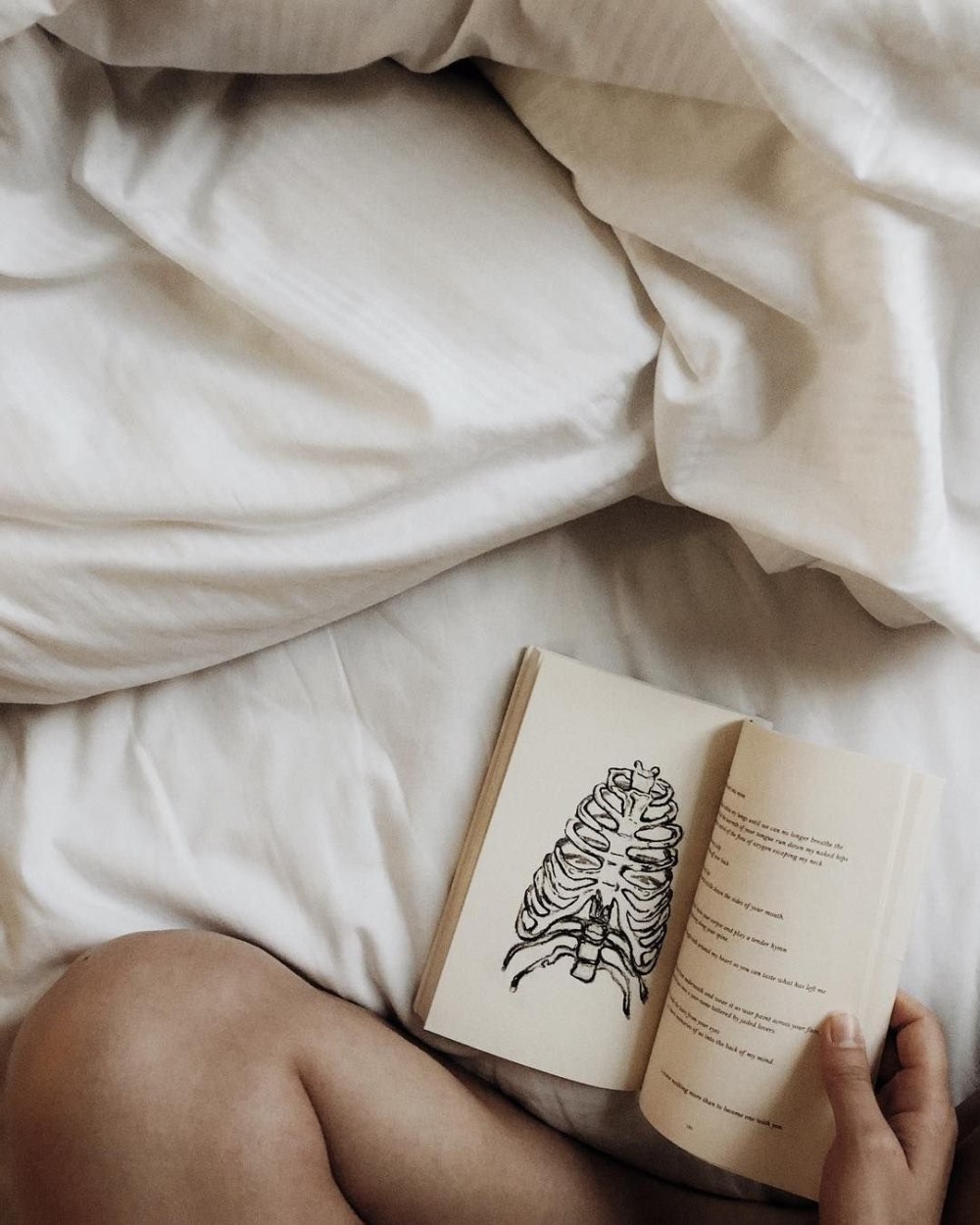 Книги Эстетика