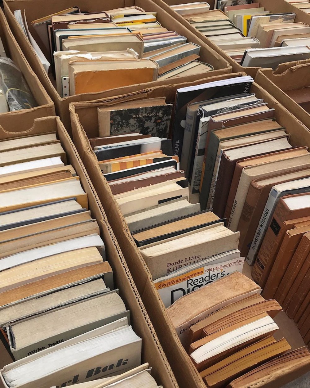Книжная Эстетика