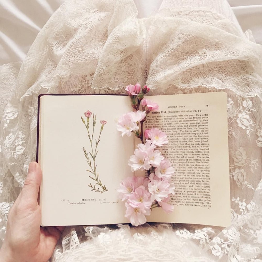 Книга в руках Эстетика