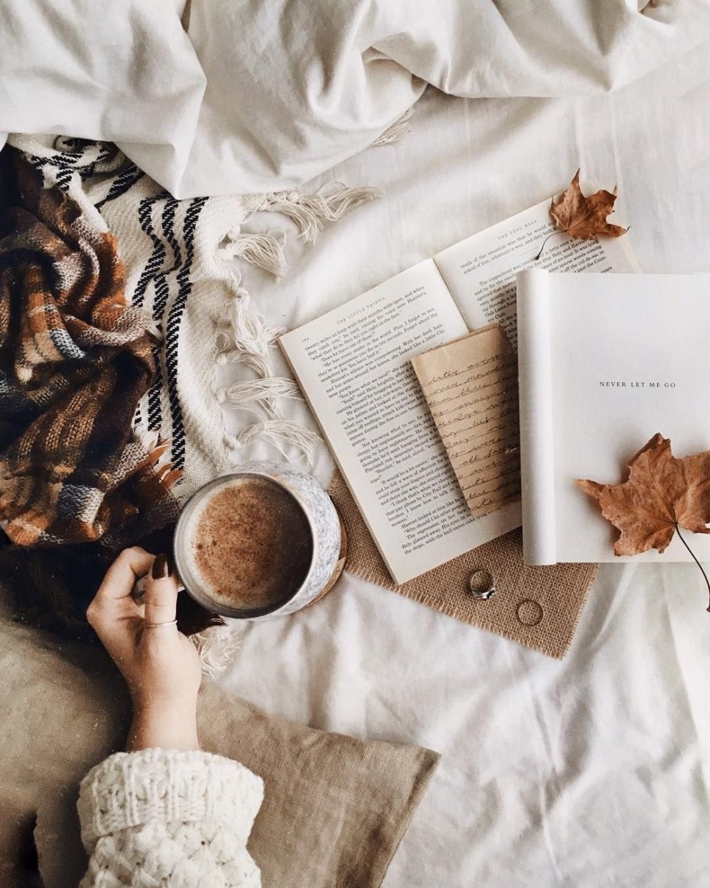 Книги Эстетика бежевый