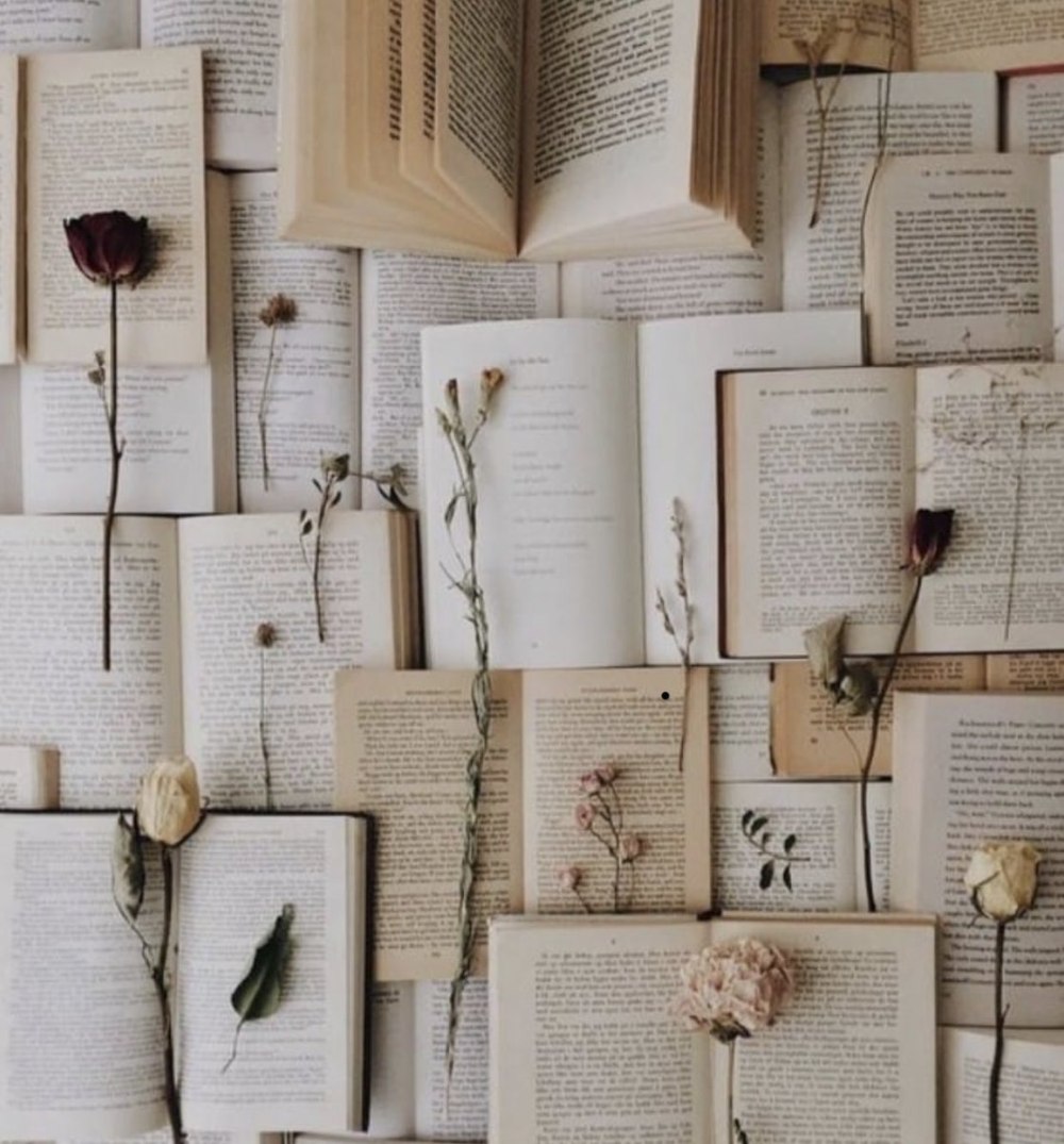 Книги aesthetic