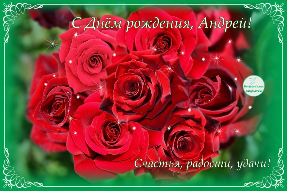 Поздравления с днём рождения Андрея