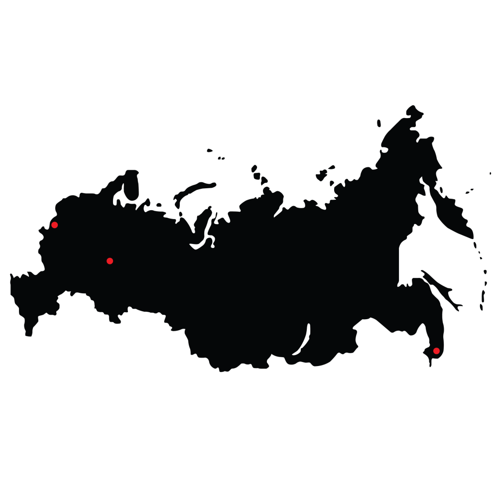 Карта России вектор