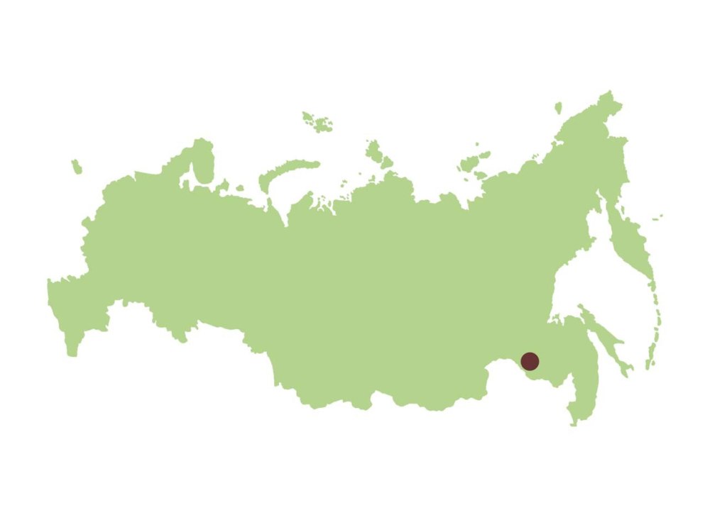 Карта России очертания