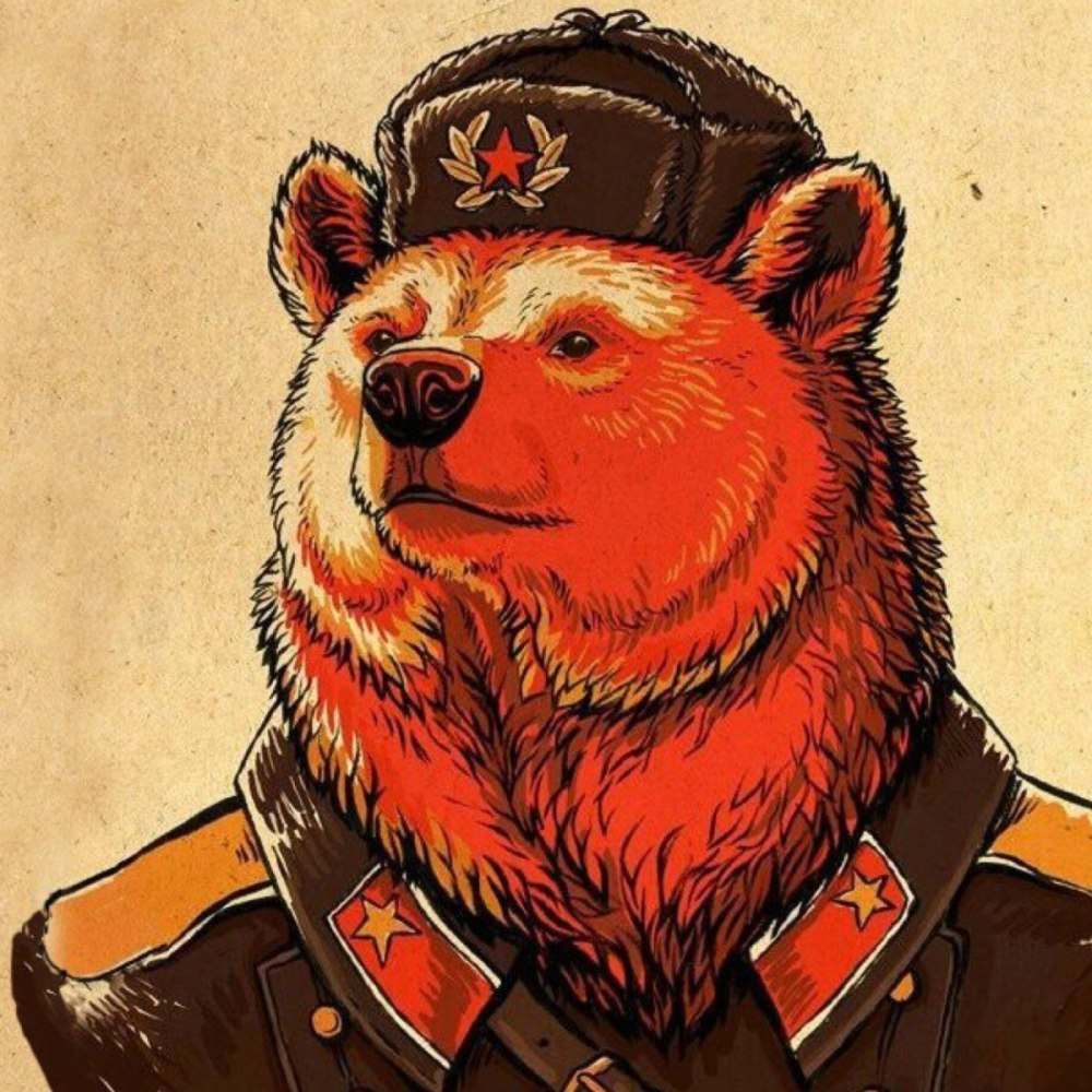 Ары медведь русский