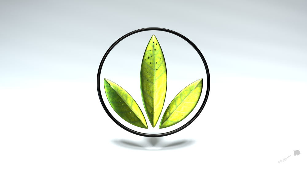 My Herbalife oyam
