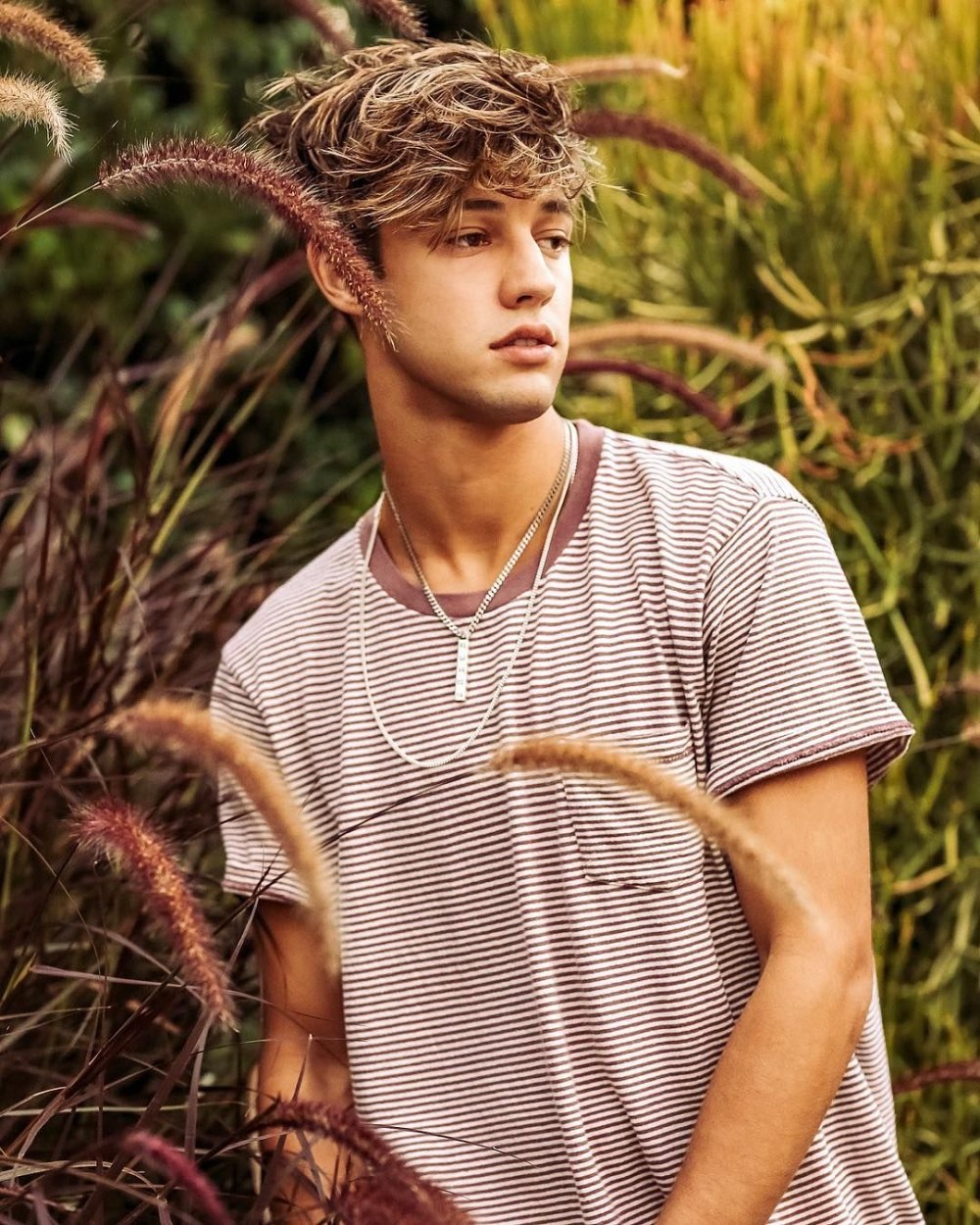 Neels Visser модель