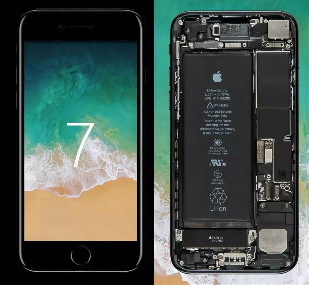 1вин на айфон. Внутренности айфона. Айфон внутри. Iphone изнутри. Iphone 7 внутренности.