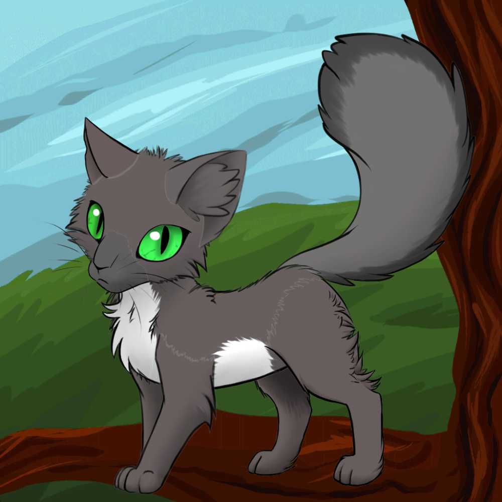 Коты Воители Амино Warriors Cats Rus