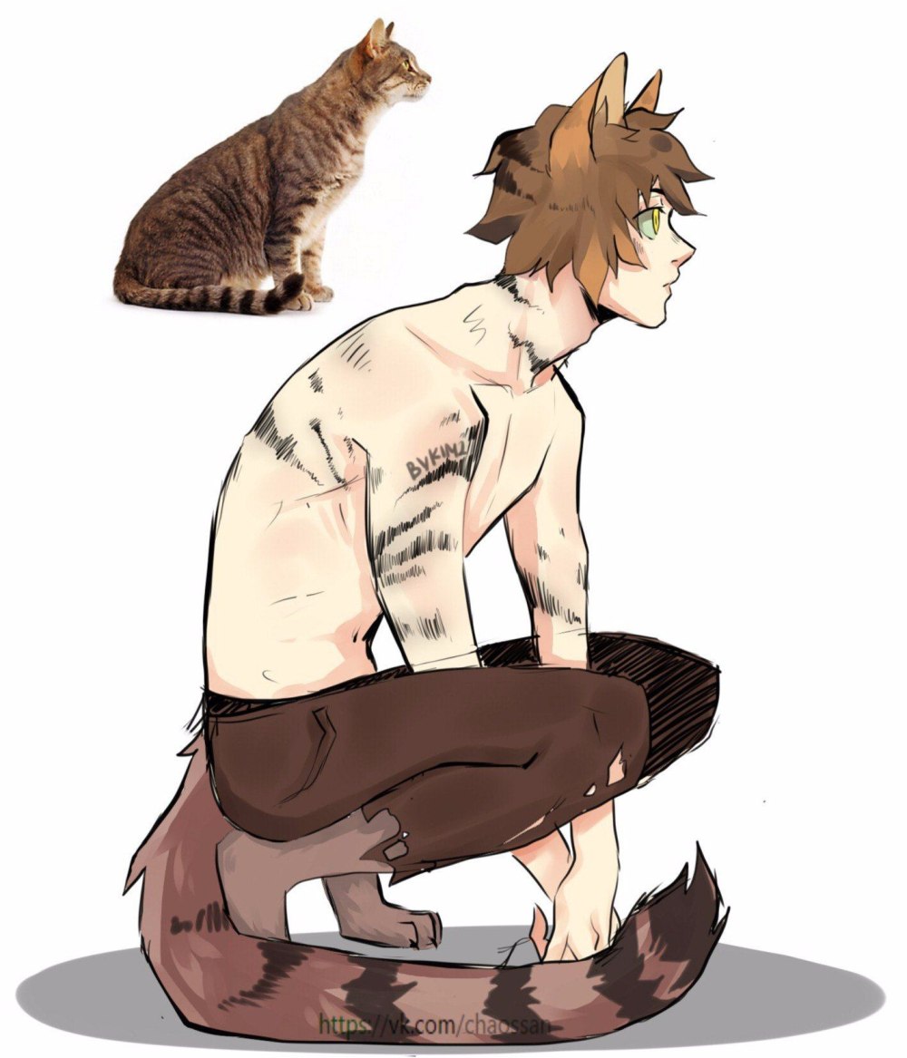 Warriors Cats Ashfur
