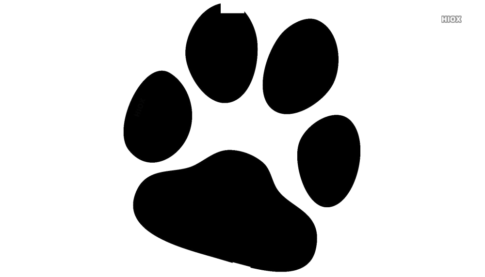 Лапка