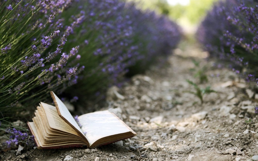 Красивый фон с книгами для презентации