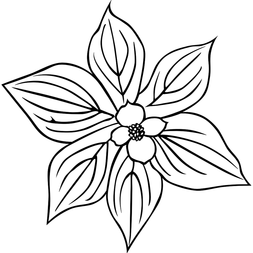 Цветы. Раскраска