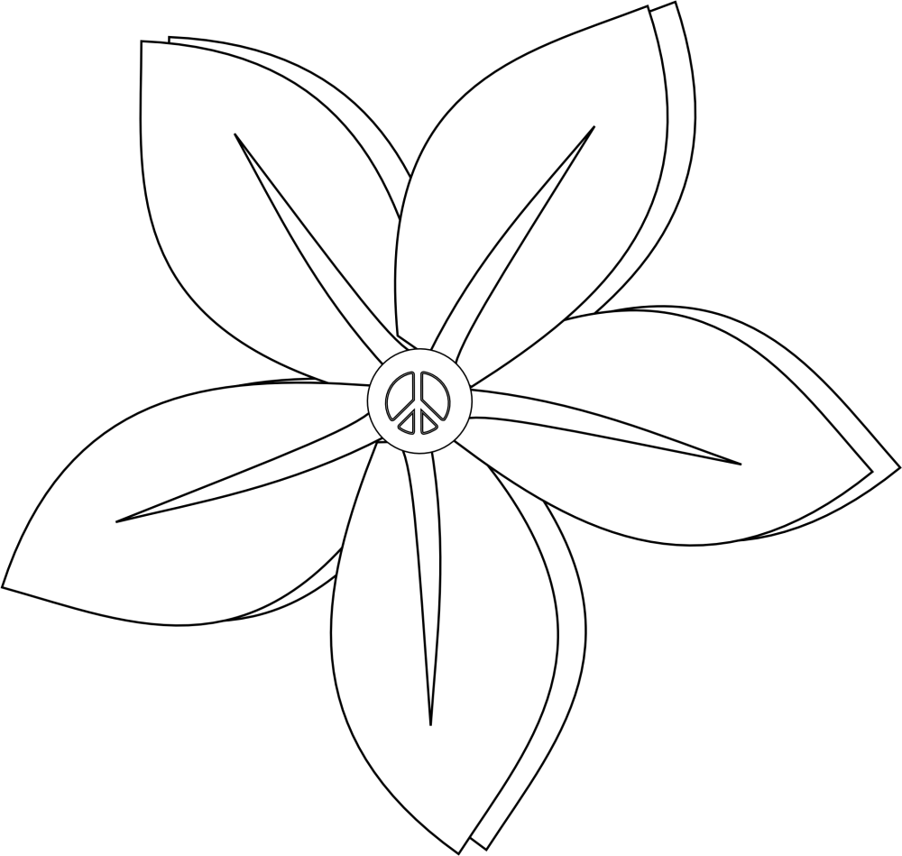 Кувшинка белая