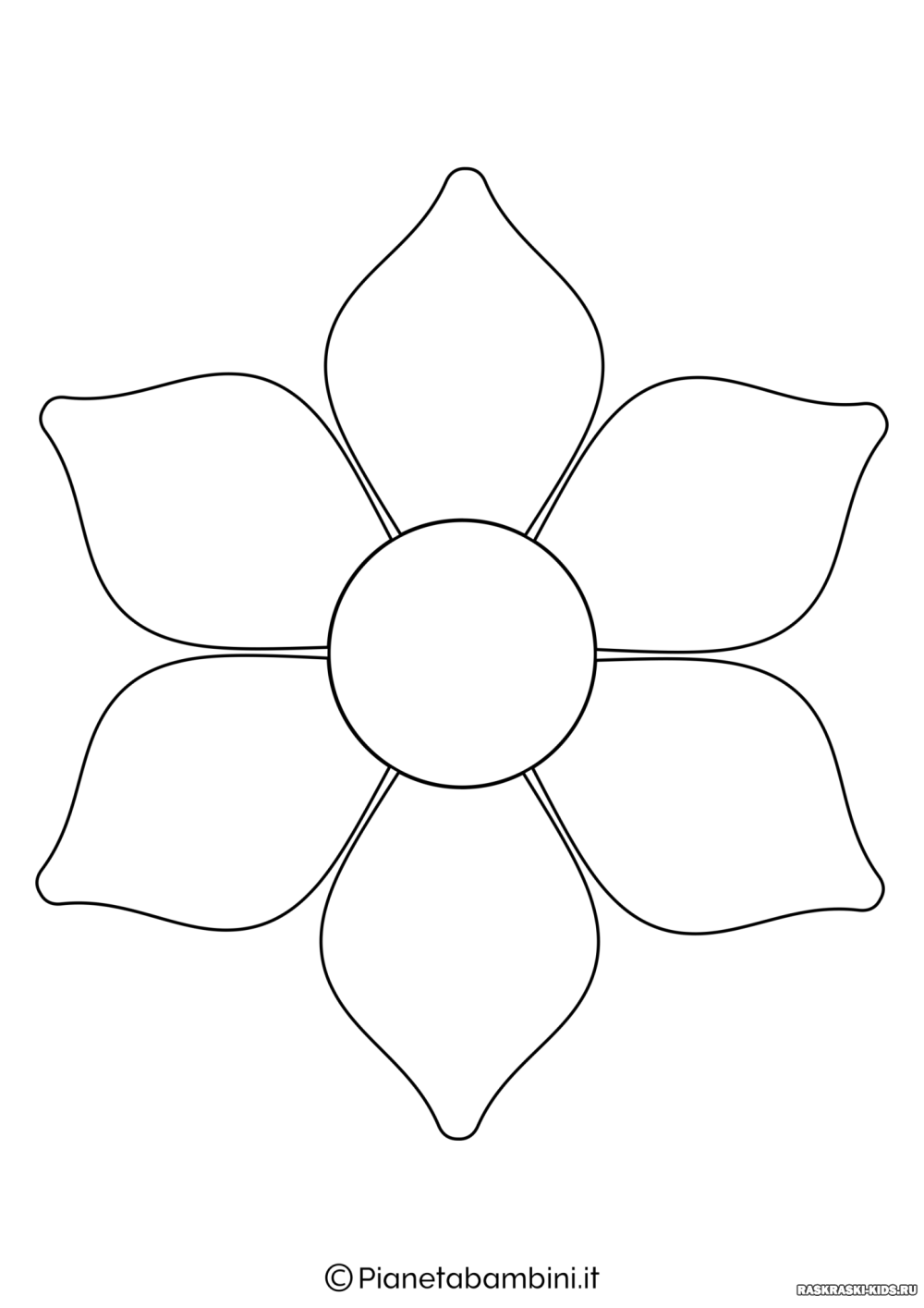 Ромашка черно белая