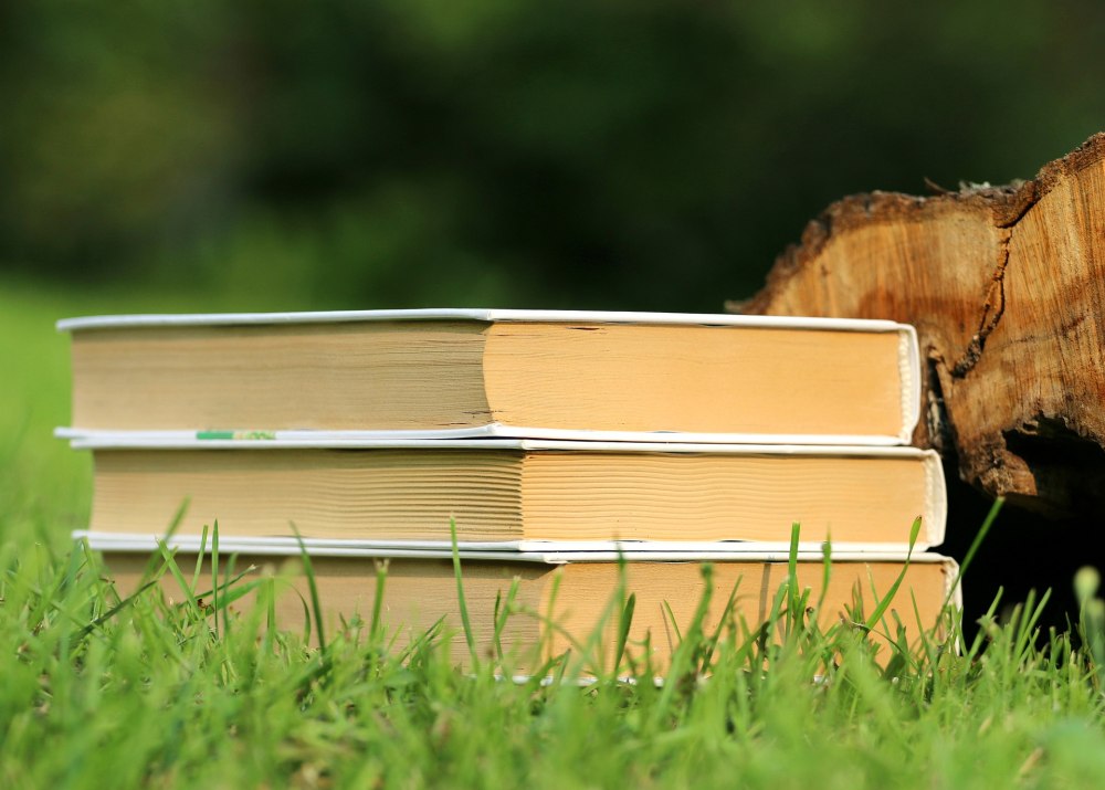 Стопка книг Мем