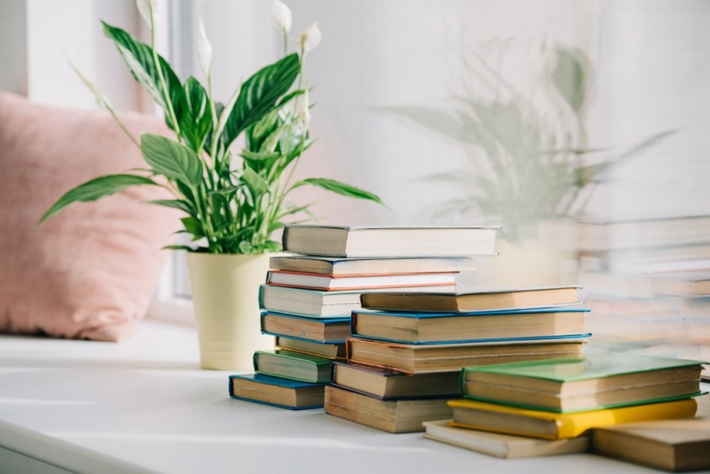 Стопка книг
