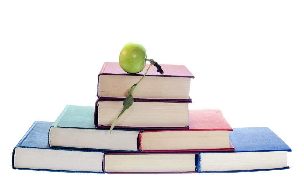 Стопка книг
