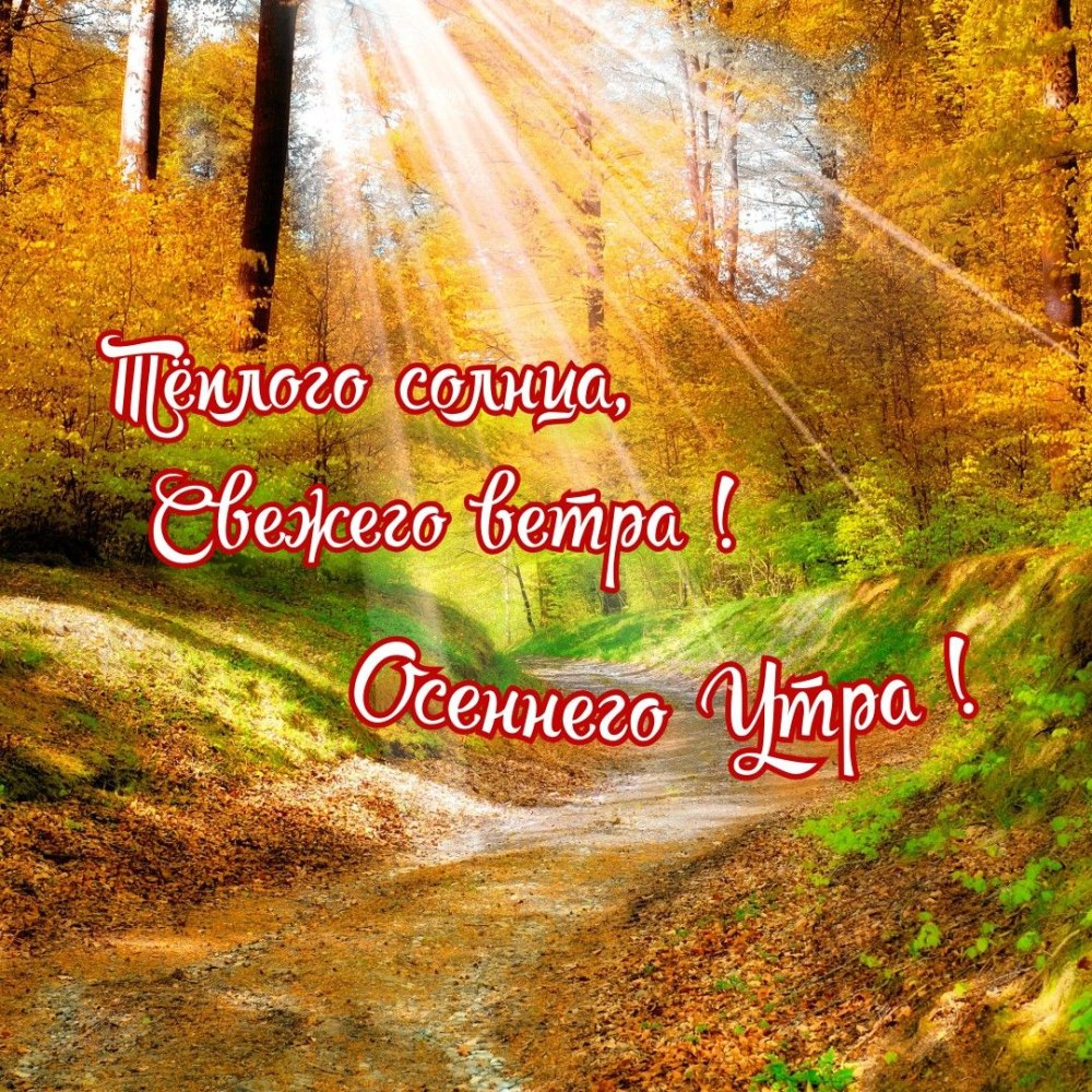 Доброе утро осень прикольные