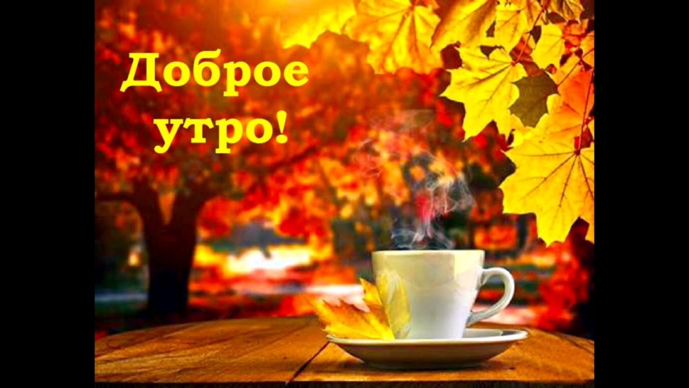 Осеннее утро в окне
