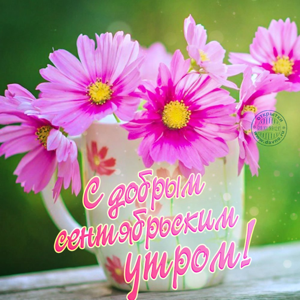 Осенний нежный натюрморт