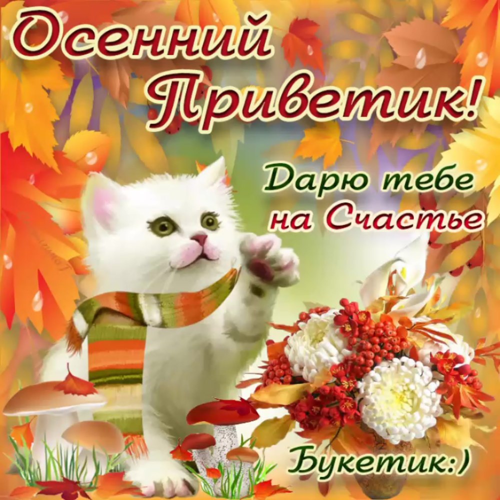 Доброго осеннего утра и хорошего дня