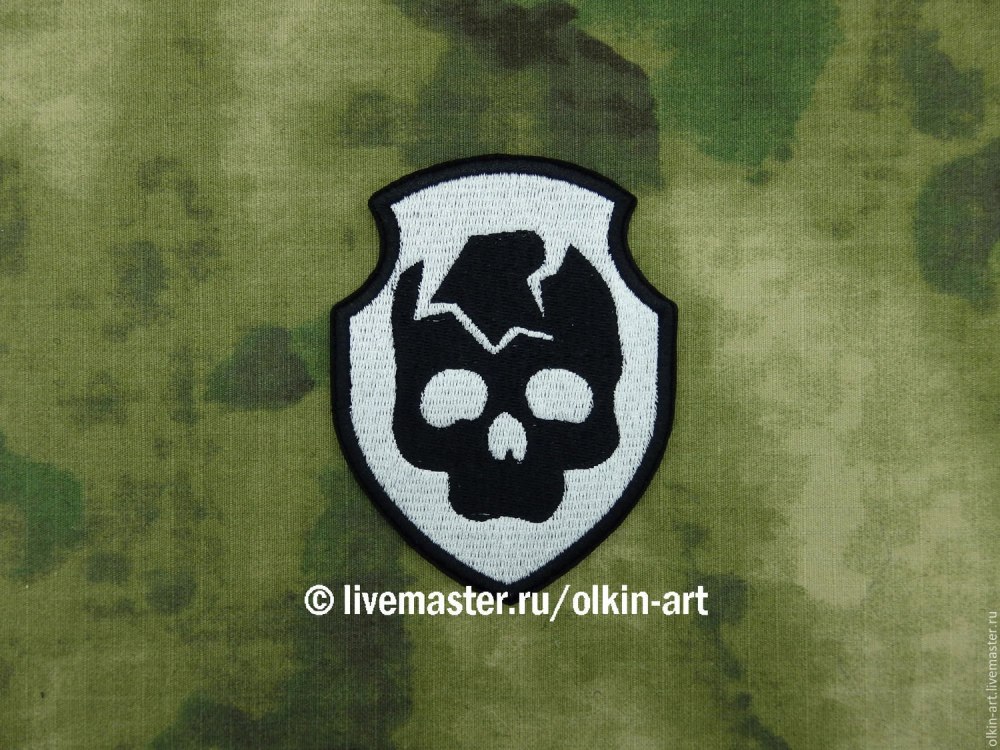 Шеврон v