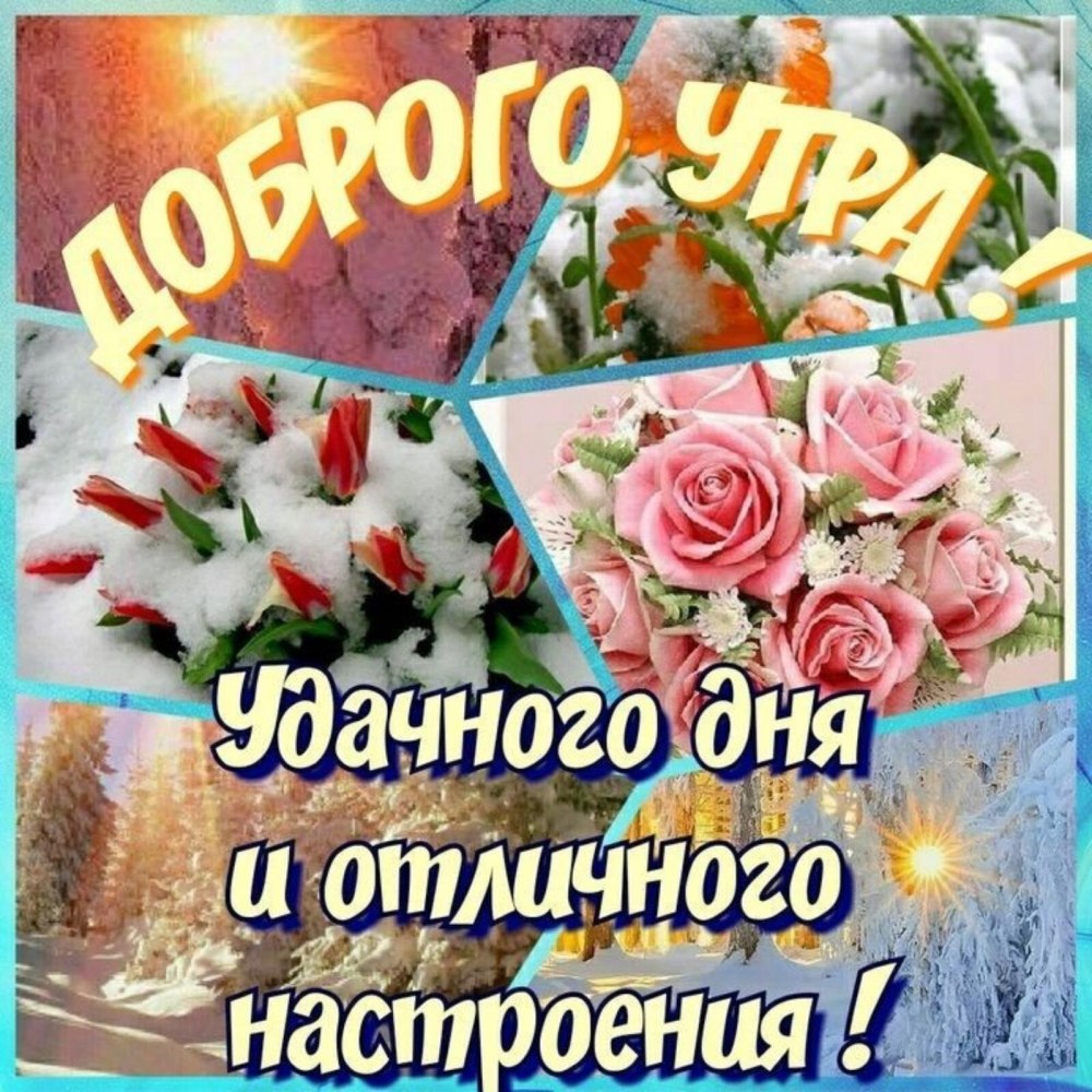 Удачного дня и отличного здоровья