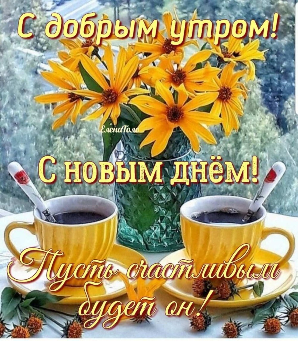 Хорошего настроения в дождливую погоду
