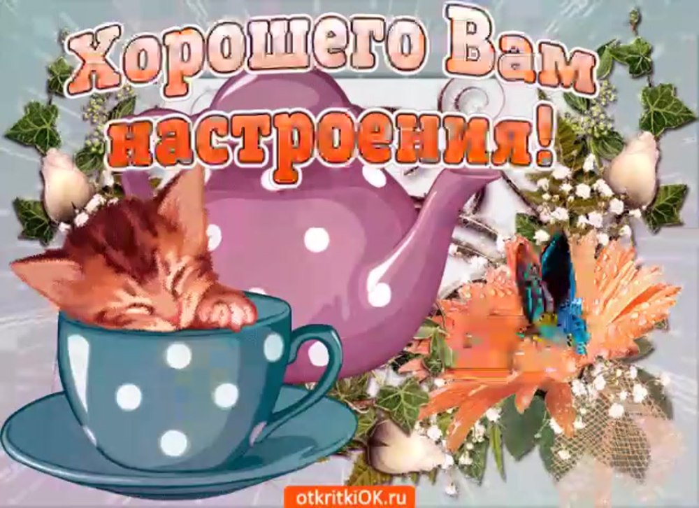 Доброе утро и хорошего настроения в любую погоду