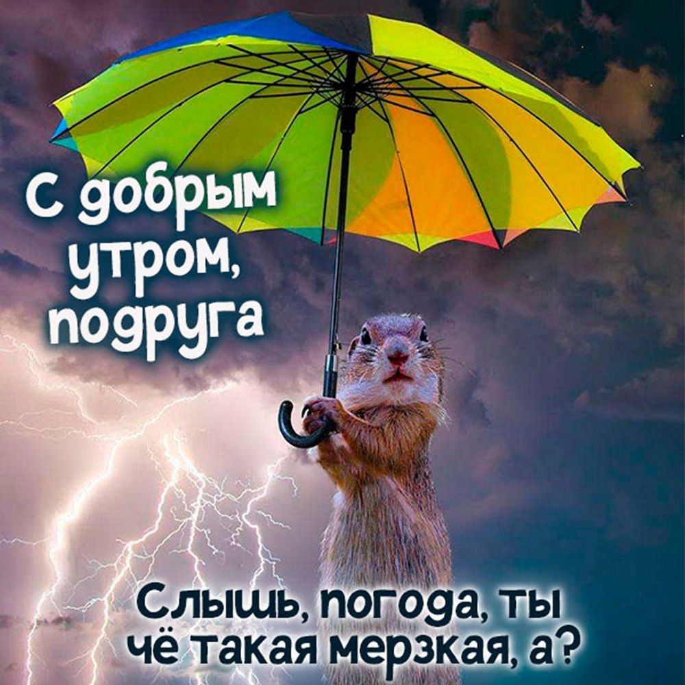 Четверг, доброе дождливое утро