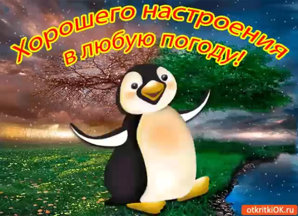 Хорошего настроения в дождливую погоду