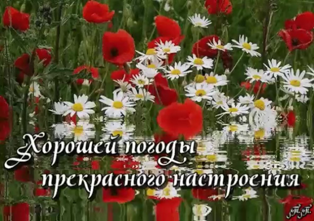Отличного настроения в любую погоду