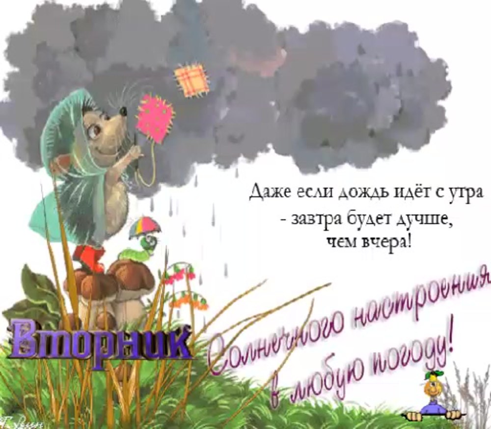 Хорошей погоды и отличного настроения