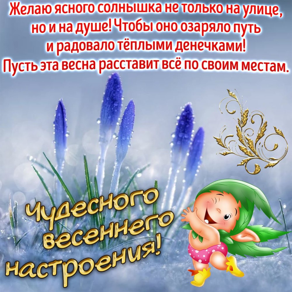 Летнее утро с надписями