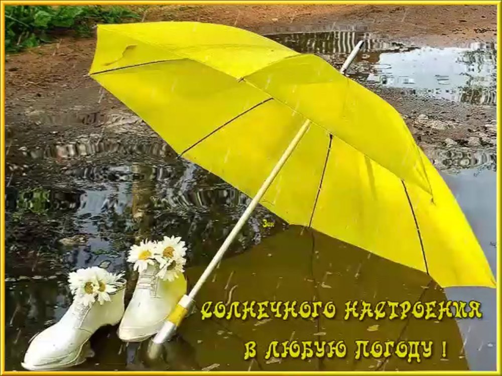 Поздравления на каждый день в картинках