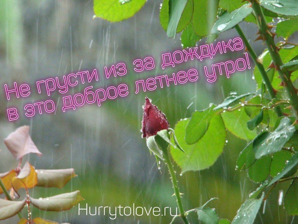 Доброе дождливое утро