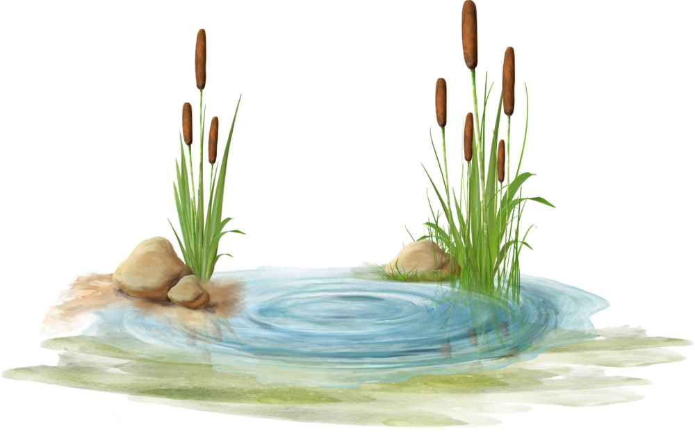 Водоем вектор