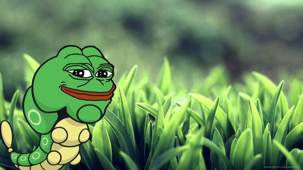 Обои с лягушками