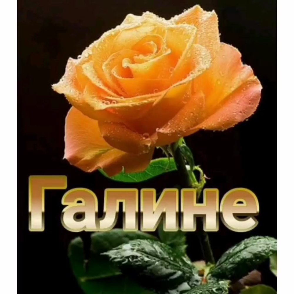 С днём рождения Елена