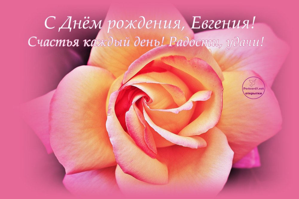 Мой учитель