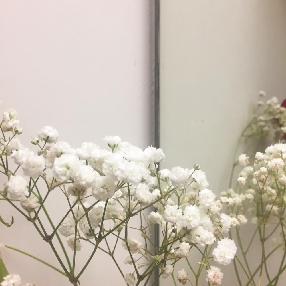 Светло бежевая Эстетика
