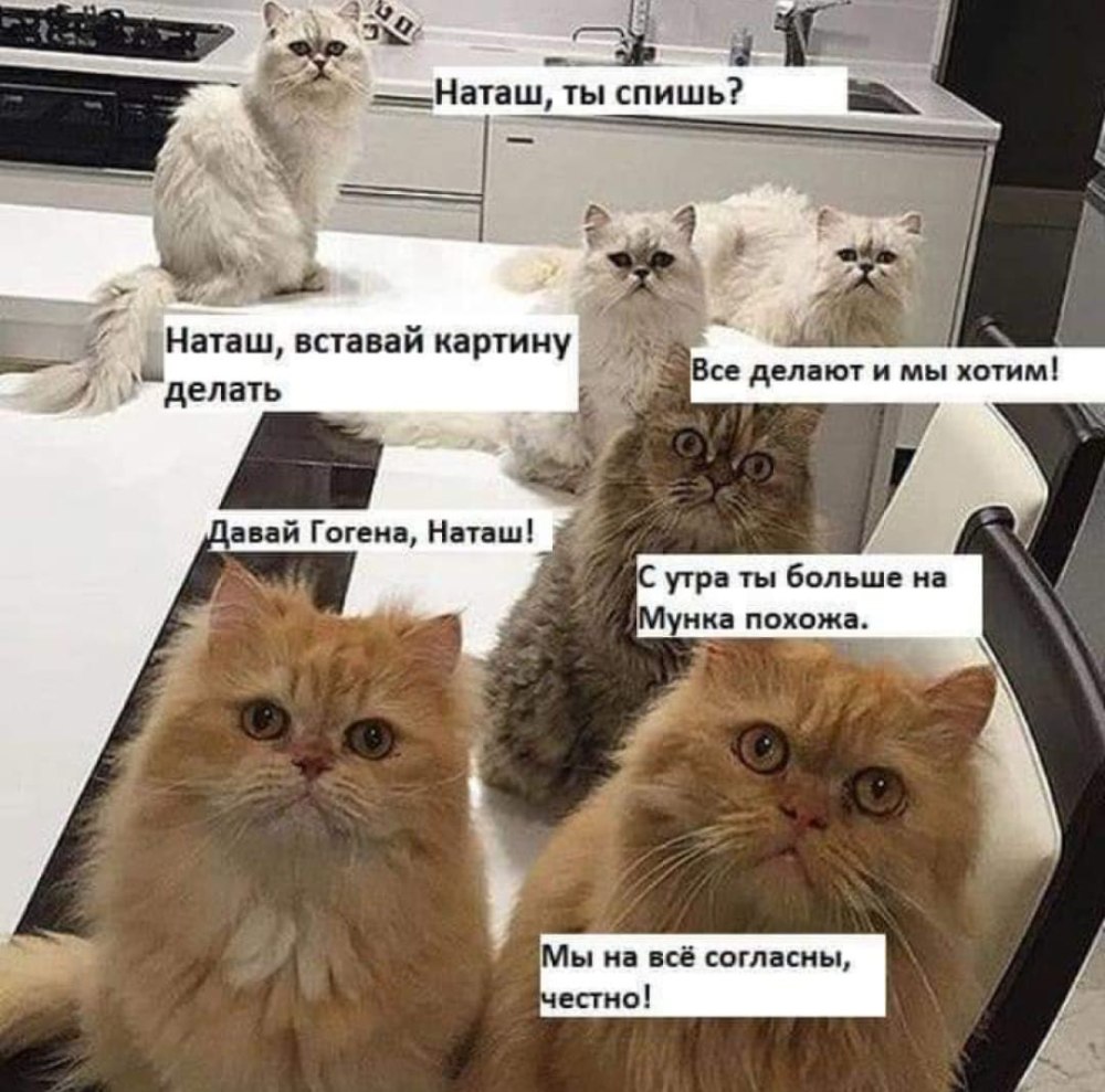 С днём рождения коллеге коты