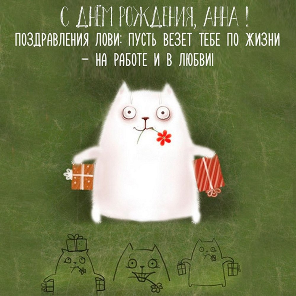 День кошки видео для праздника